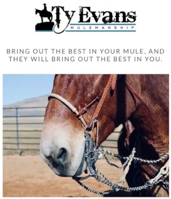 Mulemanship master Ty Evans coming to town