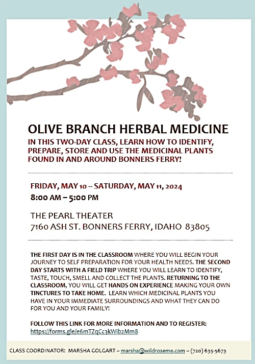 Olive Branch Herbal Medicine
