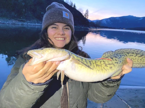 Kootenai River burbot anglers reminded to turn in creel packets