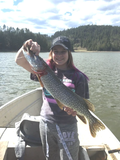 LPOHS students putting on Lake Pend Oreille pike derby