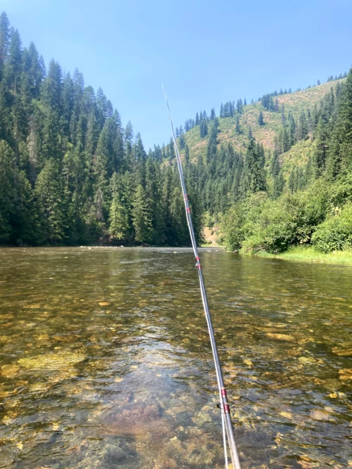 Skunked on the Joe, part II
