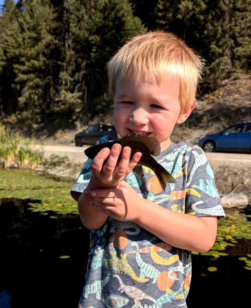 Paean to the panfish
