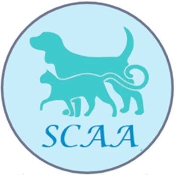 SCAA seeks input on fostering