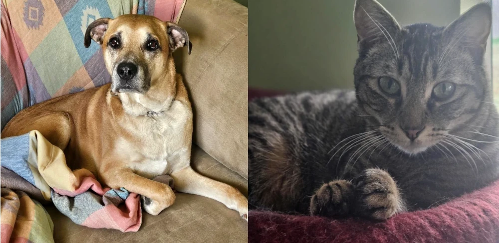 Lila and Storm