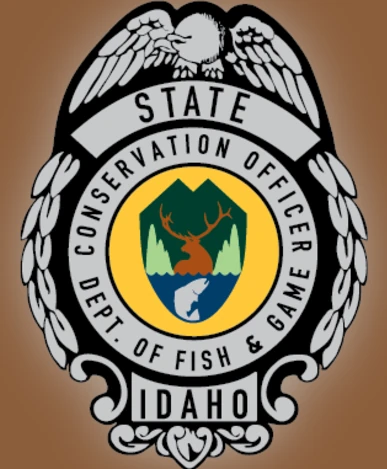 Grizzly bear mistakenly shot and killed in Bonner County