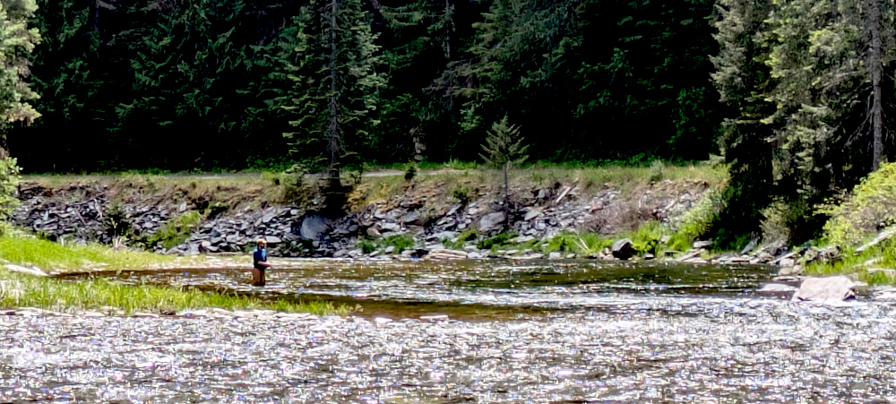 Cold water rushes over my ankles and the mountain bluebird sings