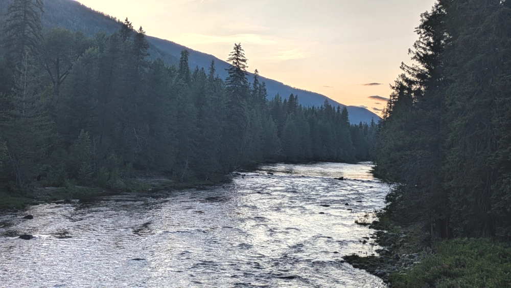 Dr. Troutlove; or, How I Learned to Stop Worrying and Love the Moyie