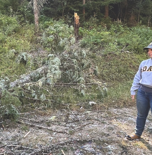 IPNF foresters remind shooters of Forest Service rules