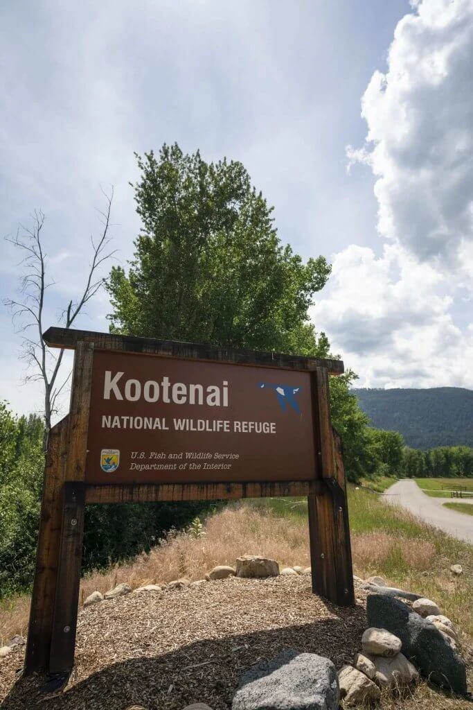 Kootenai NWR Managed Waterfowl Hunt Units Open During Regular Season