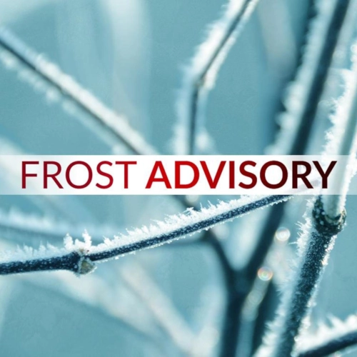 Frost advisory in effect to 10 a.m.