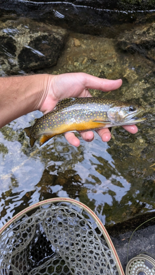 Wet wading in the great outdoors