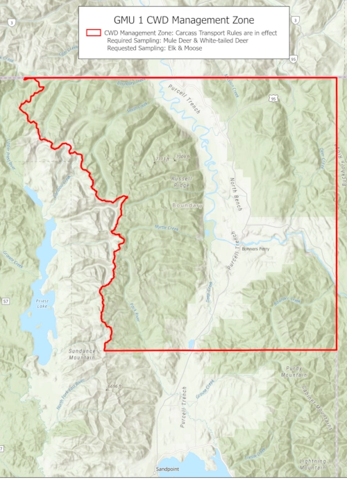 Important reminders about rules in the Unit 1 CWD management zone