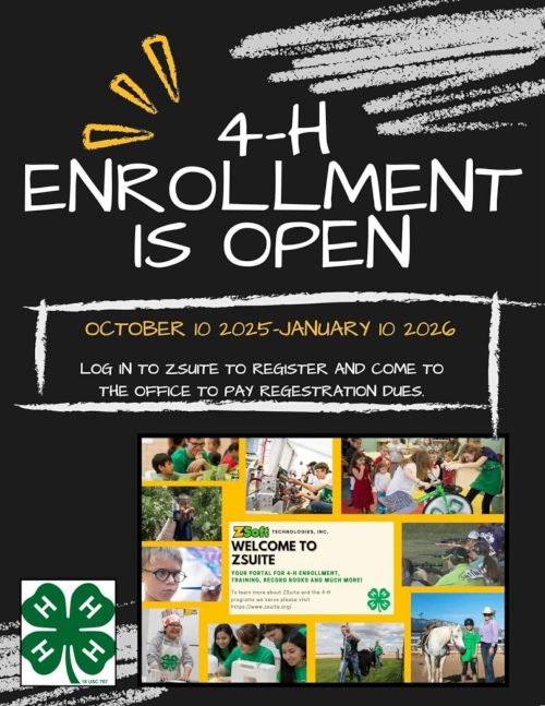 Open enrollment underway for 4-H