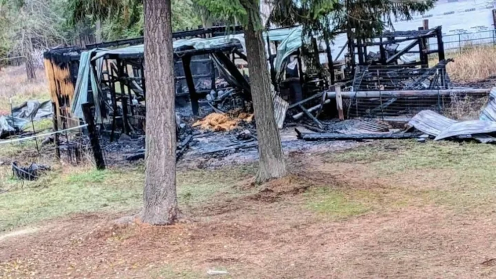 Family loses shop, vehicles in early morning fire