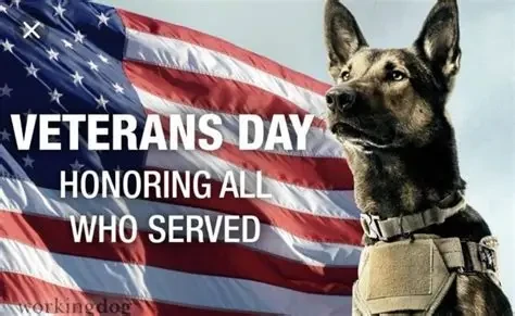 Sale for veterans at Second Chance thrift store