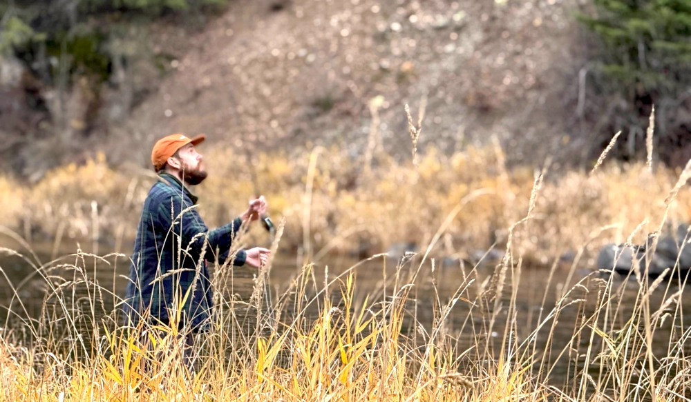 Minimal conservation and the dog that lives in us all